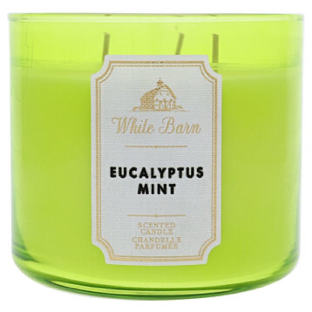 Bath and Body Works 3-wick Candle
